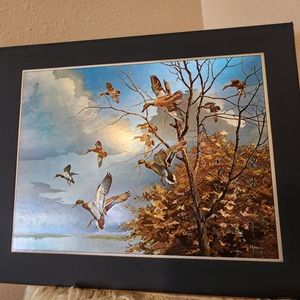 David Maass Mallard Ducks in flight